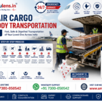 Air cargo dead body transportation process showing a coffin being loaded into a commercial aircraft cargo hold by trained airport personnel with Ambulens.in support.