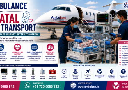 Air Ambulance for Neonatal and Baby Transport with NICU-equipped aircraft, neonatal incubator, experienced neonatologists, ventilator support, and bedside-to-bedside newborn transfer by AmbuLens.