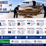 Documents required for dead body transportation by air showing death certificate, embalming certificate, coffin documentation, and air cargo paperwork.