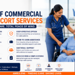 Commercial medical escort service supporting a patient during flight travel in India