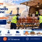 Documents required for human remains transportation by air